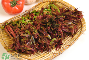 香椿怎么吃最好,香椿怎么吃最好?香椿的做法有哪些?