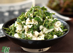 香椿为什么要过水,香椿苗怎么吃要过水吗