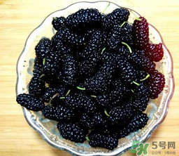 怎么样做桑椹酒,桑葚酒的制作方法