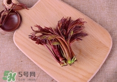 凉拌香椿芽的做法,凉拌香椿芽的做法窍门