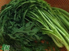 雪里红最简单腌制方法,雪里红怎么腌制好吃保存时间又长