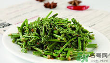 厥菜真的不能吃吗,蕨菜有毒吗?能吃吗