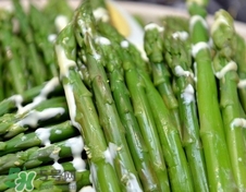 芦笋尖的做法大全家常菜,芦笋尖的做法大全