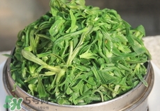 面条菜的做法大全窍门,面条菜怎么吃法