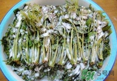 香椿芽的腌制方法,腌制香椿芽的吃法大全窍门