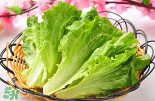 生菜和熟菜能一起放冰箱吗,生菜能放冰箱吗