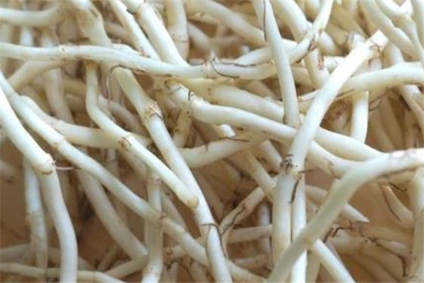 煎鱼腥草放冰糖还是白糖好(熬鱼腥草可以放冰糖吗)