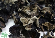 多吃木耳的好处和坏处,常吃黑木耳有什么好处