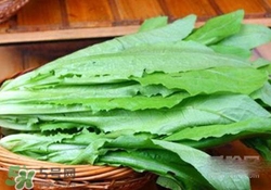 糖尿病人吃油麦菜有什么好处,糖尿病吃油麦菜好不好