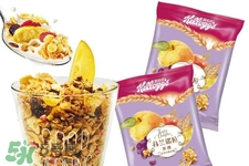 水果麦片多少钱一袋,水果谷物麦片