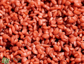 五色糯米饭的寓意是什么,五色糯米饭的寓意50字