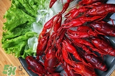 东北喇蛄和小龙虾的区别,喇蛄和小龙虾的区别