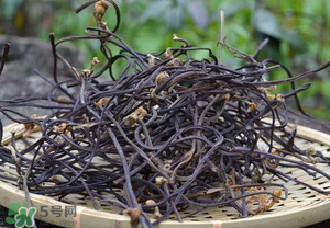 蕨菜干致癌是真的吗,蕨菜会致癌吗