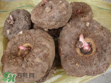 怎样除去魔芋的怪味,魔芋有味道怎么处理