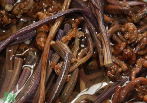 蕨菜怎么吃才好吃,蕨菜怎么吃才不会致癌 蕨菜怎么吃才好吃,蕨菜怎么吃才不会致癌