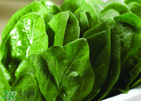 菠菜汁怎么做好喝,菠菜汁怎么做饺子皮