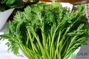 皇帝菜和茼蒿的区别图,皇帝菜的功效和作用 皇帝菜和茼蒿的区别