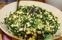 鹅蛋的营养价值及功效和禁忌,鹅蛋的营养价值比鸡蛋高吗 鹅蛋的营养价值及功效和禁忌,鹅蛋的营养价值比鸡蛋高吗