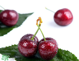 樱桃怎么保存时间长在冰箱,樱桃怎么保存时间长一点五岁宝宝一天能吃多少樱桃