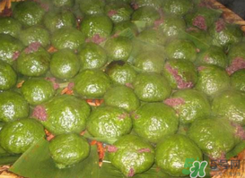 艾叶是什么样子的图片,艾叶是什么植物