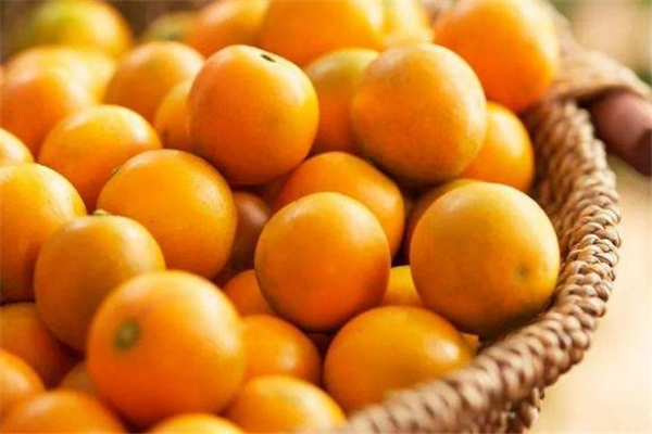 金桔的功效和作用(金桔的功效和作用禁忌) 金桔的功效和作用(金桔的功效和作用禁忌)