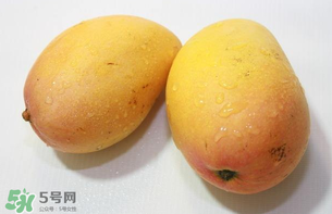 芒果的常见品种,芒果都有什么品种