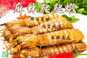 海鲜不可以和什么水果一起吃,吃海鲜什么水果不能同时吃