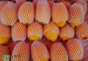 哪些人不能吃枇杷,枇杷不适合什么人吃