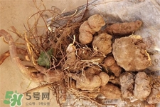 何首乌的功效和作用洗头发,何首乌的功效和作用及食用方法