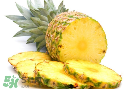 菠萝煮水的功效和禁忌山菠萝和野菠萝有区别吗,菠萝煮水的功效和禁忌