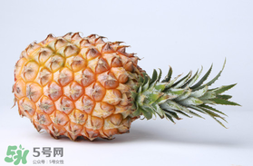 春天吃菠萝的好处,冬天吃菠萝有什么好处