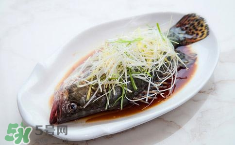 清蒸鱼的做法.教你如何蒸鱼视频,清蒸鱼的做法 家常简单做法 清蒸鱼的做法.教你如何蒸鱼视频,清蒸鱼的做法 家常简单做法