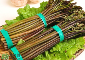 蕨菜怎么保存时间长的好方法,蕨菜怎么保存时间长 蕨菜怎么保存时间长的好方法,蕨菜怎么保存时间长