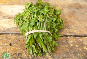 蕨菜冷冻一年了还能吃吗,蕨菜冻了还能吃吗