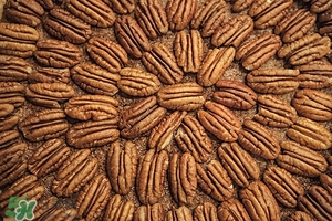 核桃仁的营养价值和功效,核桃油的营养价值