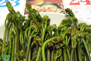 蕨菜为什么苦,蕨菜为什么苦 能吃吗