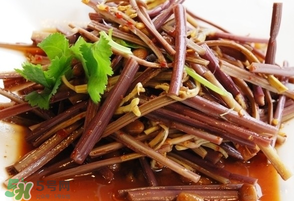 蕨菜有毒吗?有致癌物吗?,新鲜蕨菜有毒吗 蕨菜有毒吗?有致癌物吗?,新鲜蕨菜有毒吗