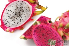 几月份吃火龙果,一月份的火龙果能吃吗 几月份吃火龙果,一月份的火龙果能吃吗