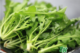 荠菜的吃法和做法,荠菜的吃法有几种