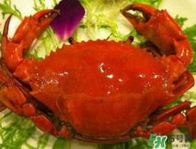 荠菜怎么吃最好吃,荠菜怎么吃最好 荠菜怎么吃最好吃,荠菜怎么吃最好