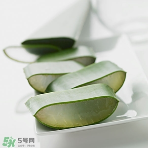 新鲜芦荟怎么吃,减肥效果好,新鲜芦荟怎么吃最好