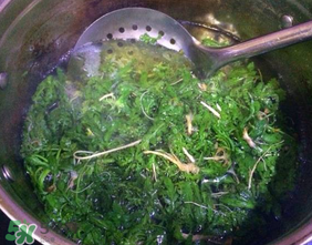 蔬菜焯水的原因,蔬菜焯水的原因有哪些?