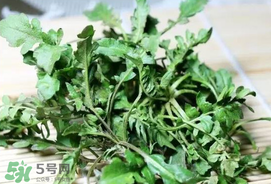 荠菜和什么食物相克,荠菜不能和什么一起吃,荠菜和什么相克
