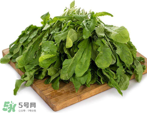 菜叶黄了能吃吗,菜叶子黄了还能不能吃