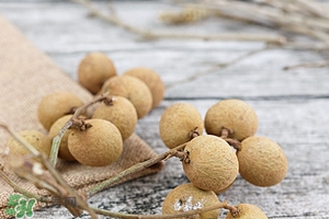 龙眼和桂圆有什么区别,桂圆和龙眼的区别在哪里