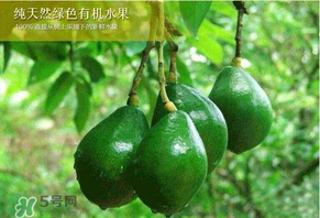 打开的牛油果放冰箱能放多久,牛油果放冰箱能放多久宝宝还可以吃吗