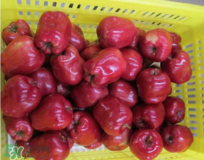 蛇果上的蜡怎么去除,蛇果外面的蜡 蛇果上的蜡怎么去除,蛇果外面的蜡