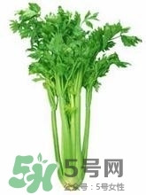 负卡路里的食物有哪些?,负卡路里食物是什么意思