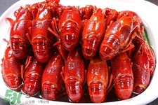 煮熟的小龙虾可以隔夜吃吗,蒜蓉小龙虾可以隔夜吃吗