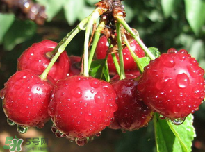 发霉食物的危害,发霉食物的危害性